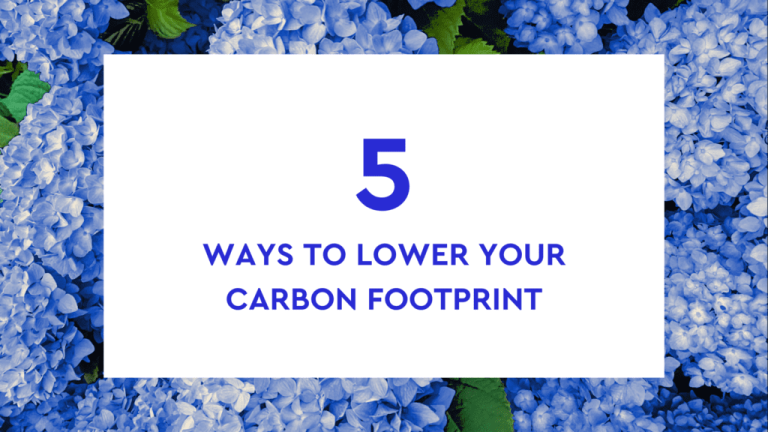 Five Ways to Lower Your Carbon Footprint